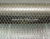 Stainless Steel Hexagonal Wire Mesh