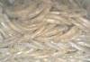 Black annealed wire