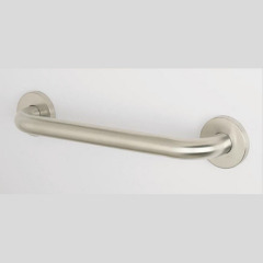 Safety Grab Bar