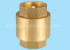 Check Valve