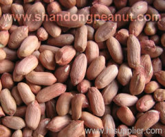 Peanut Kernels