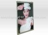 LED Signage,LED light,Banner stand