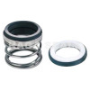 HG 21 Single Spring Elastomer Mechanical Seal with O-Ring