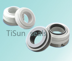 10R PTFE Wedge mechanical seals