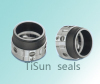 AEC nPTFE Wedge mechanical seals