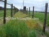 Double Barbed Wire Fence