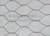 hexagonal wire mesh