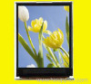 2.0 inch TFT LCD module