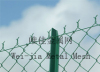 Galvanized Chain Link Fence