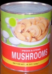 Canned Mushroom