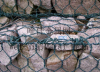 Gabion Mesh