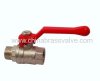 Brass ball valve M/F