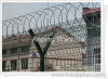 Razor Wire