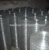 welded wire mesh