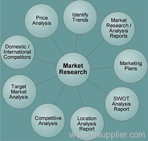 Market Research Services India