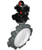 PTFE butterfly Valve