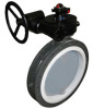 PTFE butterfly Valve