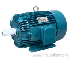 Electric Motor