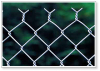 Chain Link Fence