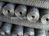 Hexagonal Wire Mesh