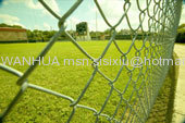 Chain Link Fence