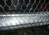 Hexagonal Wire Mesh