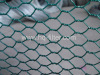 PVC Coated Hexagonal Wire Mesh Fence
