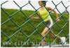 Chain Link Fence