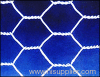 HEXAGONAL WIRE MESH