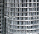 Welded Wire Mesh