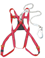 Full Body Harness