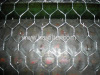 Hexagonal Wire Netting