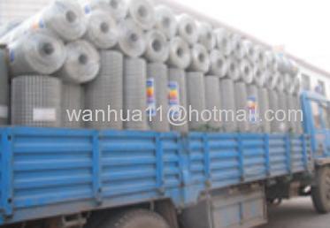 stainless steel welded wire mesh