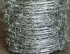 Galvanized barbed wire