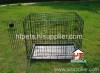 dog cage