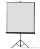 Portable tripod projection screen