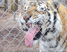 Zoo Security Fencing