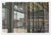 perforated metal fence