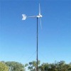 3kW Wind Turbine Generator(withCE,ISO),Green power system