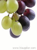 Red White Grape Juice Concentrate