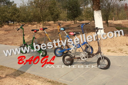 Electric Folding Bicycle