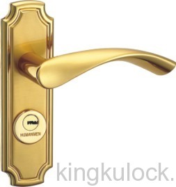 Door Lock