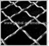 crimped wire mesh