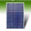 Solar Module-250 Watt