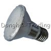 Common LED Spotlight