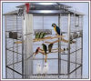 Welded Bird Cage
