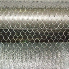 Hexagonal wire netting