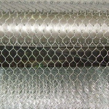 Hexagonal wire netting