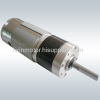 12V Planetary Motor