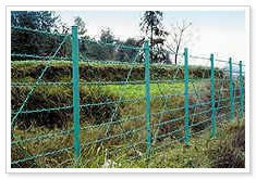 Barbed Wire Fence